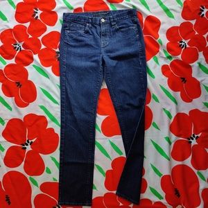 EUC Dark Wash Straight-Cut Jeans Size 29/8 | Calvin Klein